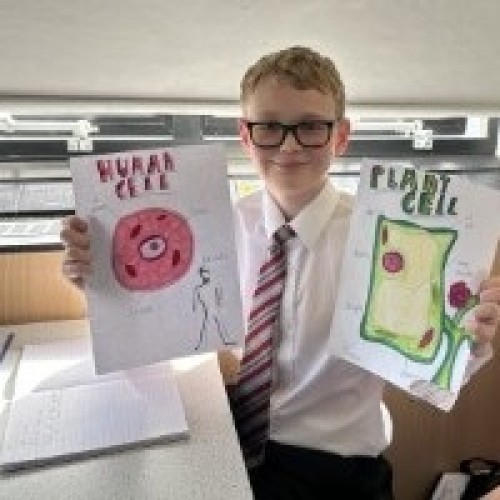 thumbnail_IMG_1517